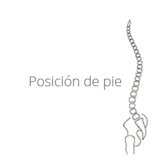 Posición de pie